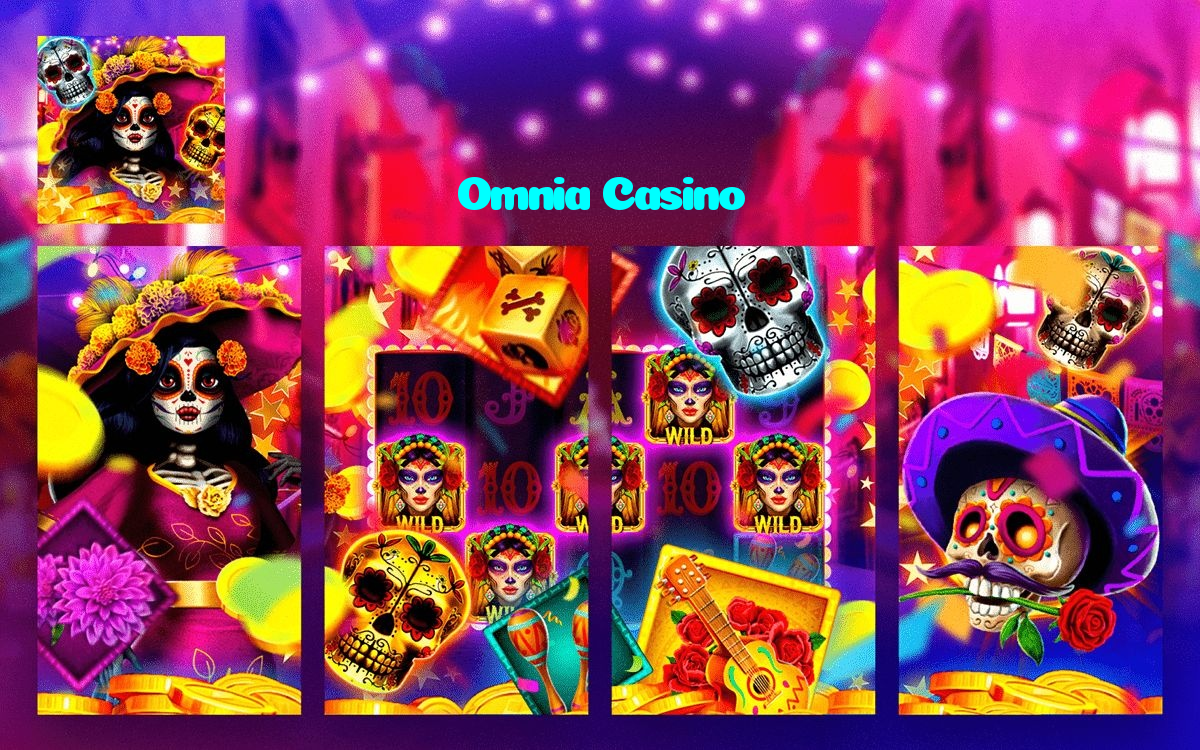 available types of Omnia Casino bet including pre-match live express and system bets
